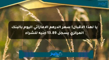 يا لهذا الإقبال! سعر الدرهم الإماراتي اليوم بالبنك المركزي يسجل 13.89 جنيه للشراء